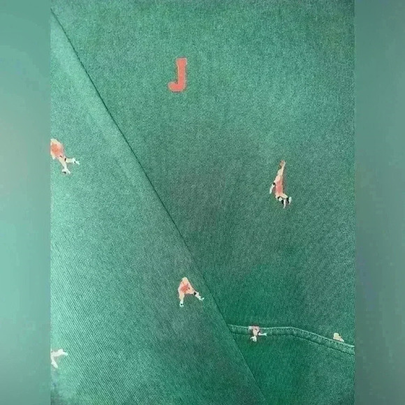 JORDAN ESSENTIALS FLC PULLOVER HOODIE "NOBLE GREEN" Size Large - Picture 3 of 5